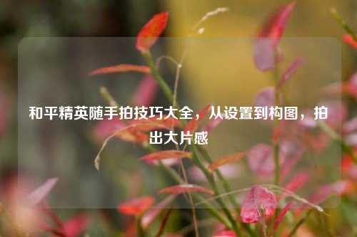 和平精英随手拍技巧大全,从设置到构图,拍出大片感