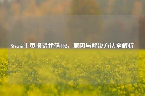Steam主页报错代码102,原因与解决方法全解析