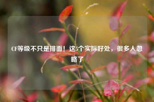 CF等级不只是排面！这5个实际好处，很多人忽略了