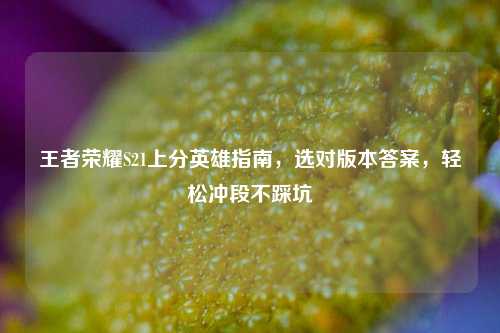 王者荣耀S21上分英雄指南,选对版本答案,轻松冲段不踩坑