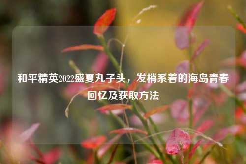 和平精英2022盛夏丸子头,发梢系着的海岛青春回忆及获取方法