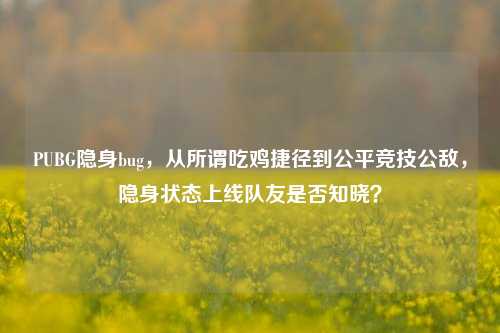 PUBG隐身bug，从所谓吃鸡捷径到公平竞技公敌，隐身状态上线队友是否知晓？
