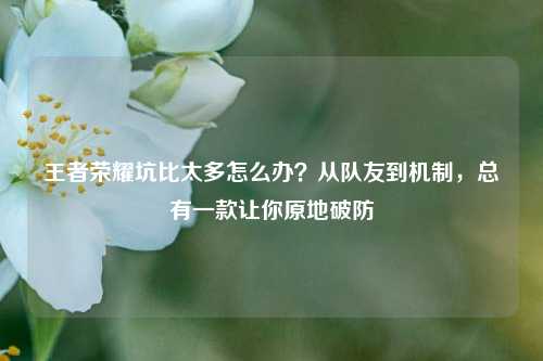 王者荣耀坑比太多怎么办?从队友到机制,总有一款让你原地破防