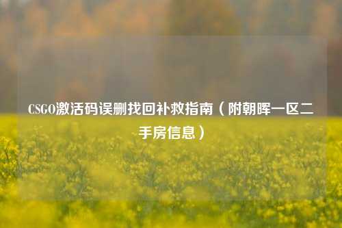 CSGO激活码误删找回补救指南（附朝晖一区二手房信息）