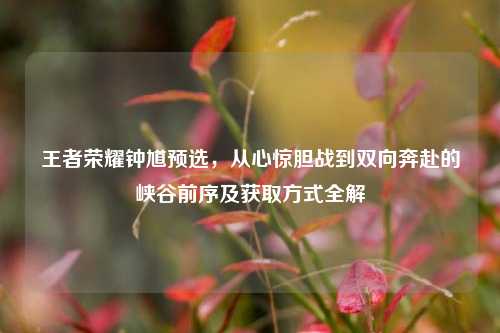 王者荣耀钟馗预选,从心惊胆战到双向奔赴的峡谷前序及获取方式全解