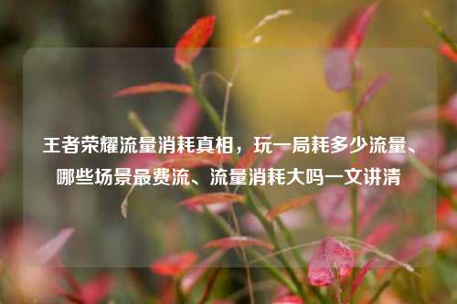 王者荣耀流量消耗真相，玩一局耗多少流量、哪些场景最费流、流量消耗大吗一文讲清