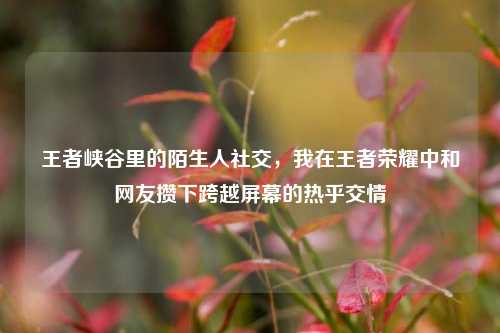 王者峡谷里的陌生人社交,我在王者荣耀中和网友攒下跨越屏幕的热乎交情