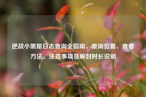 逆战小黑屋日志查询全指南,查询位置、查看方法、注意事项及解封时长说明