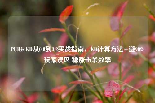 PUBG KD从0.8到3.2实战指南,KD计算方法+避90%玩家误区 稳涨击杀效率