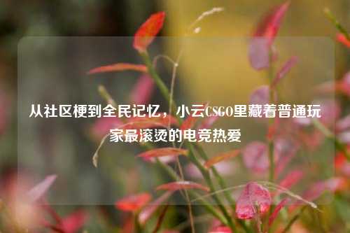 从社区梗到全民记忆，小云CSGO里藏着普通玩家最滚烫的电竞热爱