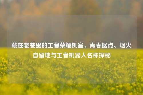 藏在老巷里的王者荣耀机室，青春据点、烟火自留地与王者机器人名称探秘