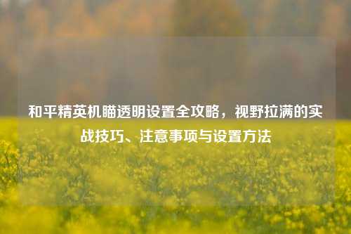 和平精英机瞄透明设置全攻略,视野拉满的实战技巧、注意事项与设置方法