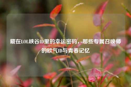 藏在LOL峡谷ID里的幸运密码,那些专属召唤师的欧气ID与青春记忆