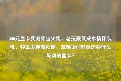 300元显卡实测穿越火线,老玩家低成本情怀装机,帧率表现超预期,流畅玩CF究竟需要什么级别的显卡?