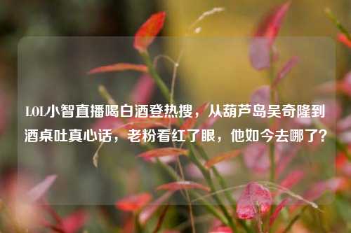 LOL小智直播喝白酒登热搜,从葫芦岛吴奇隆到酒桌吐真心话,老粉看红了眼,他如今去哪了?