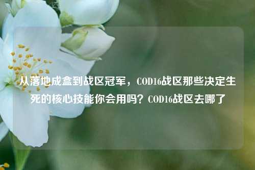 从落地成盒到战区冠军,COD16战区那些决定生死的核心技能你会用吗?COD16战区去哪了