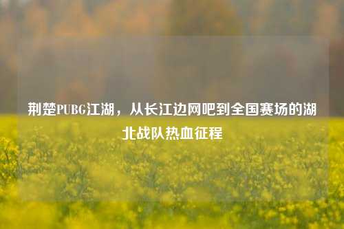 荆楚PUBG江湖,从长江边网吧到全国赛场的湖北战队热血征程