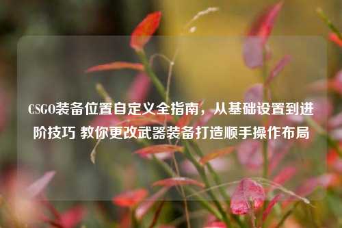 CSGO装备位置自定义全指南,从基础设置到进阶技巧 教你更改武器装备打造顺手操作布局