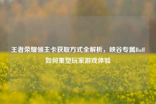 王者荣耀领主卡获取方式全解析,峡谷专属Buff如何重塑玩家游戏体验