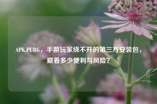 APK.PUBG，手游玩家绕不开的第三方安装包，藏着多少便利与风险？