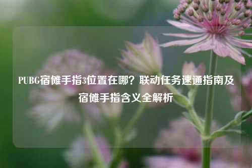 PUBG宿傩手指3位置在哪?联动任务速通指南及宿傩手指含义全解析