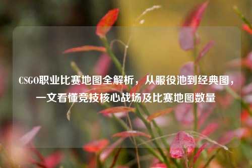 CSGO职业比赛地图全解析,从服役池到经典图,一文看懂竞技核心战场及比赛地图数量