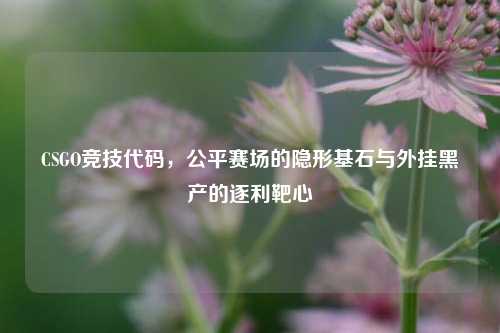 CSGO竞技代码，公平赛场的隐形基石与外挂黑产的逐利靶心