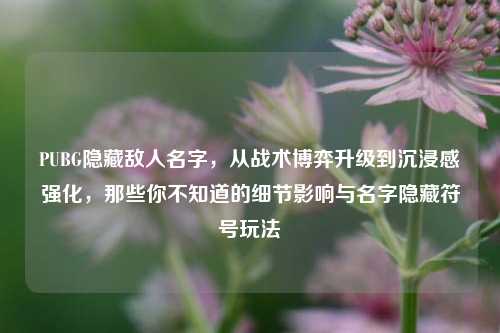 PUBG隐藏敌人名字,从战术博弈升级到沉浸感强化,那些你不知道的细节影响与名字隐藏符号玩法