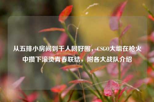 从五排小房间到千人同好圈,CSGO大组在枪火中攒下滚烫青春联结,附各大战队介绍