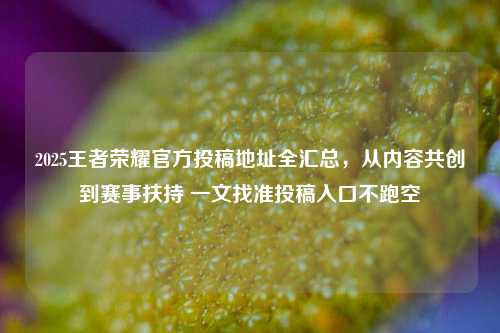 2025王者荣耀官方投稿地址全汇总,从内容共创到赛事扶持 一文找准投稿入口不跑空