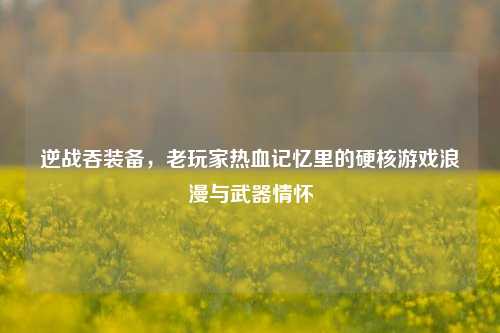 逆战吞装备,老玩家热血记忆里的硬核游戏浪漫与武器情怀