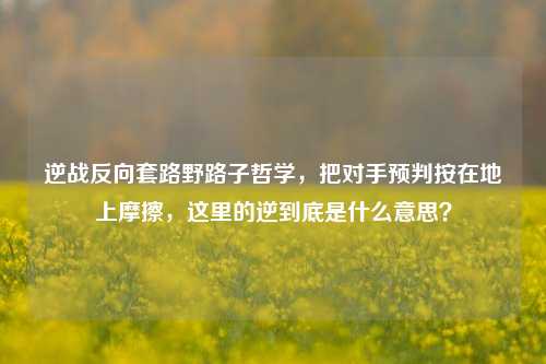 逆战反向套路野路子哲学，把对手预判按在地上摩擦，这里的逆到底是什么意思？