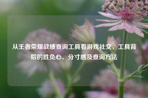 从王者荣耀战绩查询工具看游戏社交,工具背后的胜负心、分寸感及查询方法
