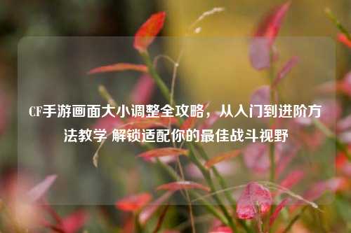 CF手游画面大小调整全攻略,从入门到进阶方法教学 解锁适配你的最佳战斗视野