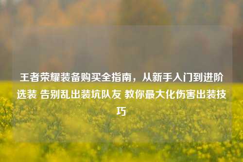 王者荣耀装备购买全指南,从新手入门到进阶选装 告别乱出装坑队友 教你最大化伤害出装技巧
