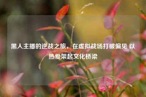 黑人主播的逆战之旅,在虚拟战场打破偏见 以热爱架起文化桥梁