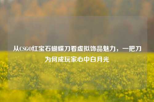 从CSGO红宝石蝴蝶刀看虚拟饰品魅力,一把刀为何成玩家心中白月光