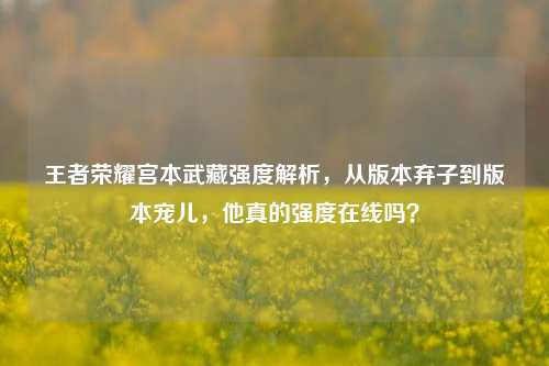 王者荣耀宫本武藏强度解析,从版本弃子到版本宠儿,他真的强度在线吗?