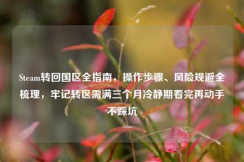 Steam转回国区全指南,操作步骤、风险规避全梳理,牢记转区需满三个月冷静期看完再动手不踩坑
