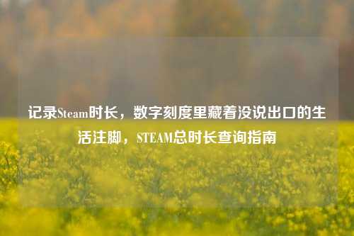 记录Steam时长,数字刻度里藏着没说出口的生活注脚,STEAM总时长查询指南