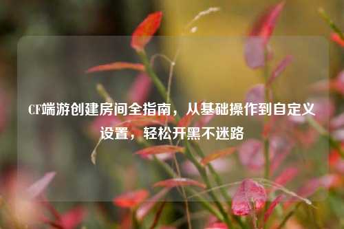 CF端游创建房间全指南,从基础操作到自定义设置,轻松开黑不迷路