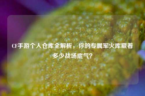 CF手游个人仓库全解析,你的专属军火库藏着多少战场底气?