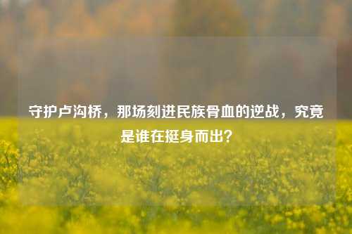 守护卢沟桥，那场刻进民族骨血的逆战，究竟是谁在挺身而出？