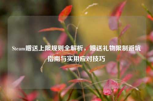 Steam赠送上限规则全解析,赠送礼物限制避坑指南与实用应对技巧