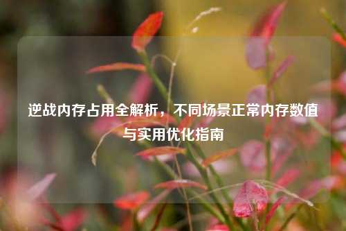 逆战内存占用全解析,不同场景正常内存数值与实用优化指南