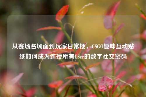 从赛场名场面到玩家日常梗,CSGO趣味互动贴纸如何成为连接所有CSer的数字社交密码