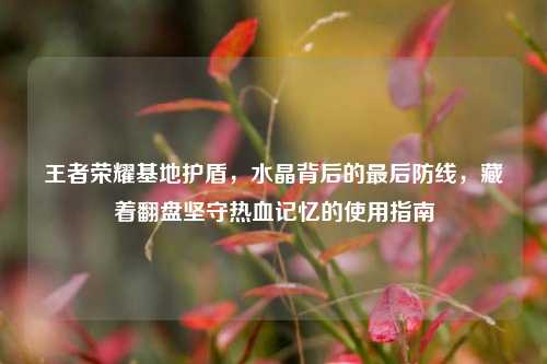 王者荣耀基地护盾,水晶背后的最后防线,藏着翻盘坚守热血记忆的使用指南