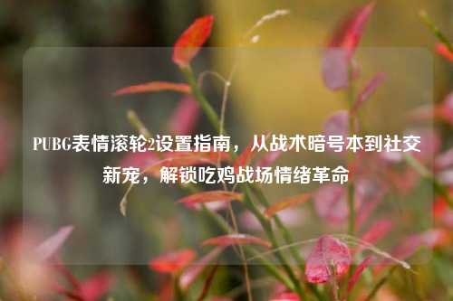 PUBG表情滚轮2设置指南,从战术暗号本到社交新宠,解锁吃鸡战场情绪革命