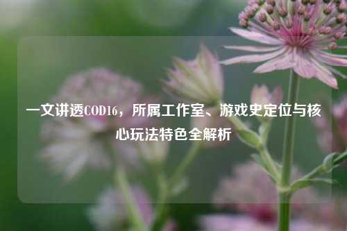 一文讲透COD16,所属工作室、游戏史定位与核心玩法特色全解析