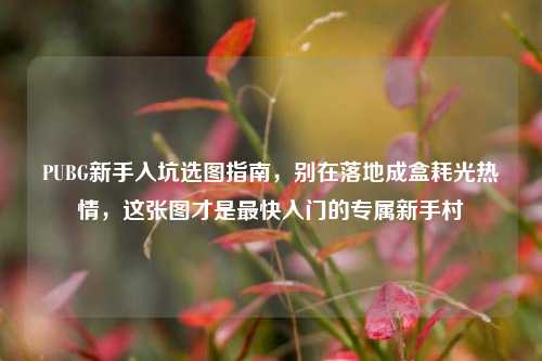 PUBG新手入坑选图指南，别在落地成盒耗光热情，这张图才是最快入门的专属新手村